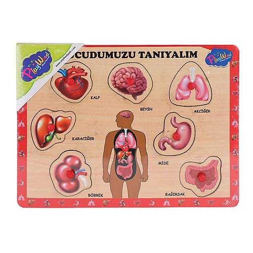 ONY-287 288 Ah�ap Tutmal� V�cumuzu Tan�yal�m -Ony�l Oyuncak