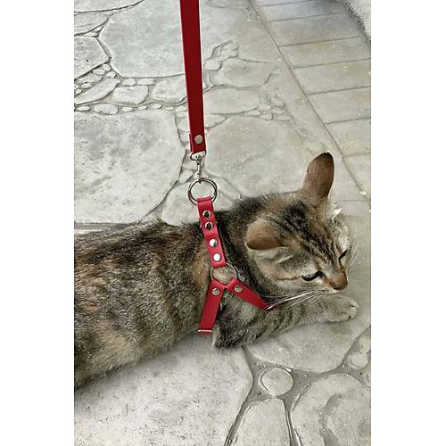 Deri Kedi Harness , Kedi Gezdirme Tasmas - NPC005