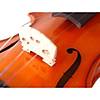 G�rsel 5