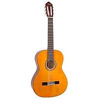 VALENCIA VC104T Klasik Gitar Sap Çelikli / Kılıf