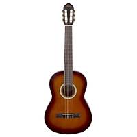 VALENCIA VC404CSB Klasik Gitar 4/4  KILIF PENA