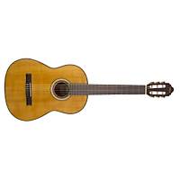 VALENCIA VC404 KLASİK 4/4 Gitar KILIF PENA