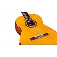 Cordoba Protege C1 Klasik Gitar / KILIF PENA