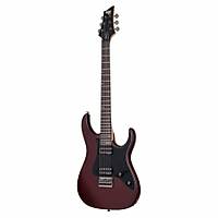 Schecter BANSHEE-6 SGR Elektro Gitar / KILIF PENA