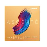 DADDARIO A310 4/4M KEMAN TEL SET / REÇİNE HEDİYELİ