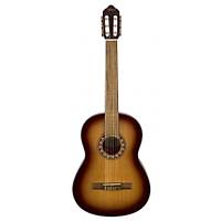 VALENCIA VC304ASB KLASİK 4/4 Gitar KILIF PENA