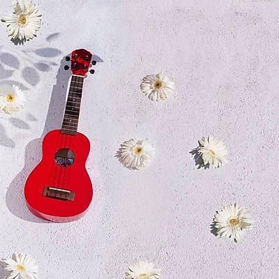  Kozmos KUK-102-RD Soprano Ukulele Krmz 