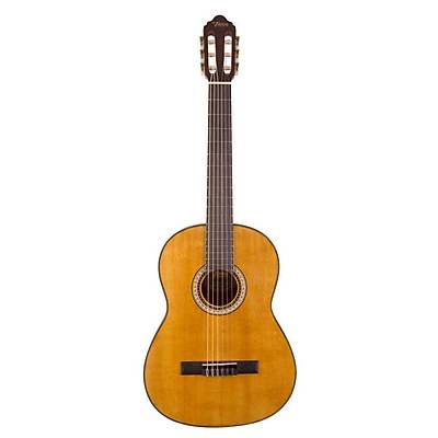 VALENCIA VC404 KLASK 4/4 Gitar KILIF PENA