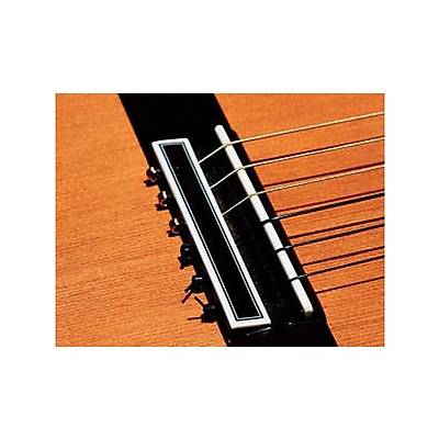 Ernie Ball P02409 Ernesto Palla Klasik Gitar Teli + 3 PENA 