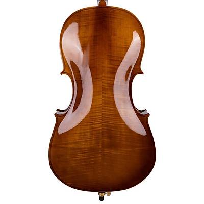 VANETTA WN-20 / 4/4 ello