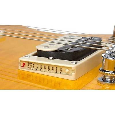 Epiphone Slash AFD Les Paul Special II Outfit Elektro Gitar Seti.