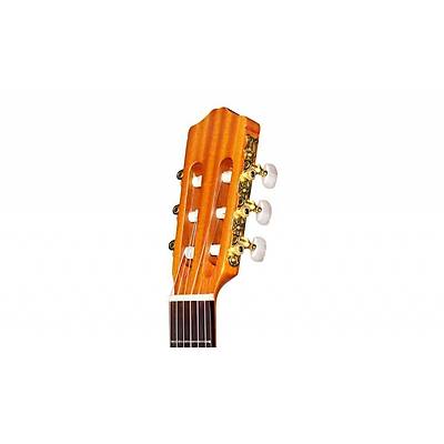 Cordoba Protege C1 Klasik Gitar / KILIF PENA