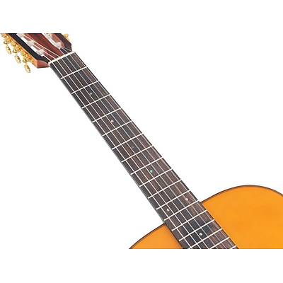 VALENCIA VA434VNA KLASİK GİTAR / Kılıf