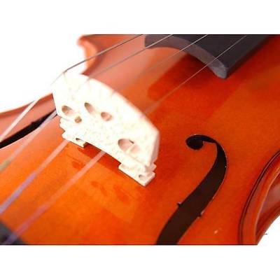 Stentor 1018/F Standart Keman (1/4)