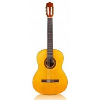 Cordoba Protege C1 Klasik Gitar / KILIF PENA