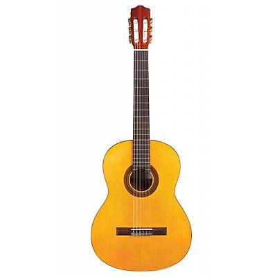Cordoba Protege C1 Klasik Gitar / KILIF PENA