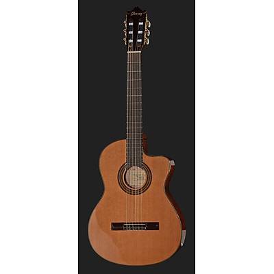 Ibanez GA6CE-AM Elektro Klasik Gitar ( HED�YEL� )