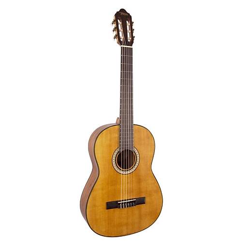 VALENCIA VC404 KLASİK 4/4 Gitar KILIF PENA