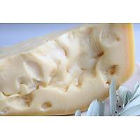 GRAVYER PEYNR BEKR HOCA 450-500 GR