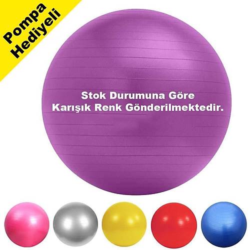 65 cm Pilates Topu Pompa Hediyeli Karışık Renk