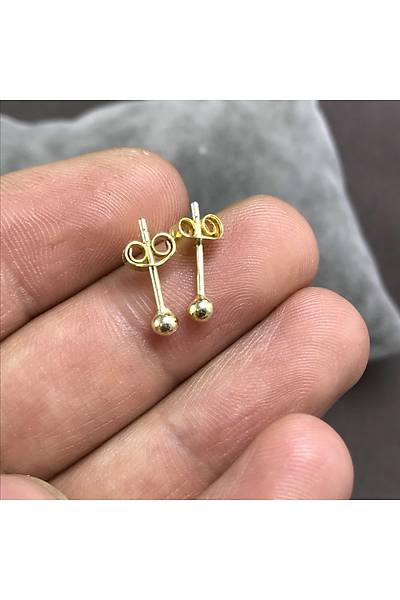 Top Model Alt�n Kaplama Bayan G�m�� K�pe