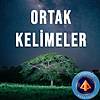 G�rsel 1