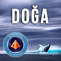Doa Astrolojisi Eitimi Paketi