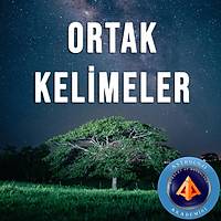 Ortak Kelimeler Webinar�
