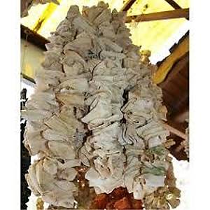 KURUTMALIK KABAK 1 �P