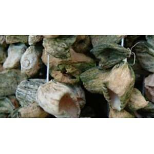 KURUTMALIK ACUR 1 �P