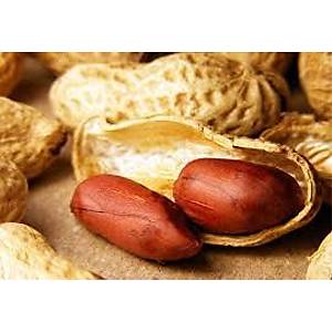 YER FISTI�I ��� ��� 1KG