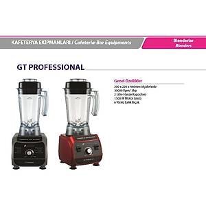 GT PROFESSIONAL