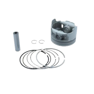 Cg Piston Sekman Set 250 cc 65.5 mm 13 Perno �ift Sekman