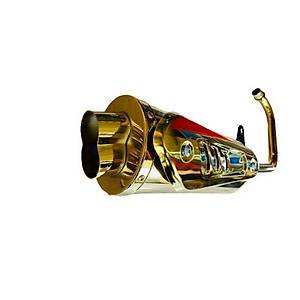 Cg Zorro Egsoz Performans Gold