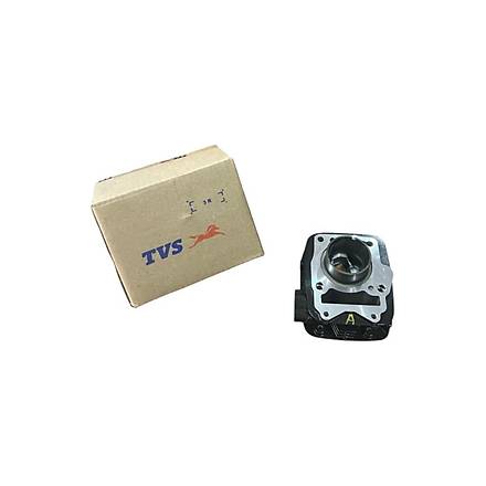 TVS Raider 125 Silindir Piston Seti Orijinal