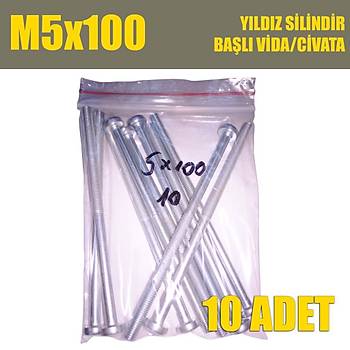 M5x100 Yıldız Silindir Başlı (YSB) Vida/Civata 10'lu Paket
