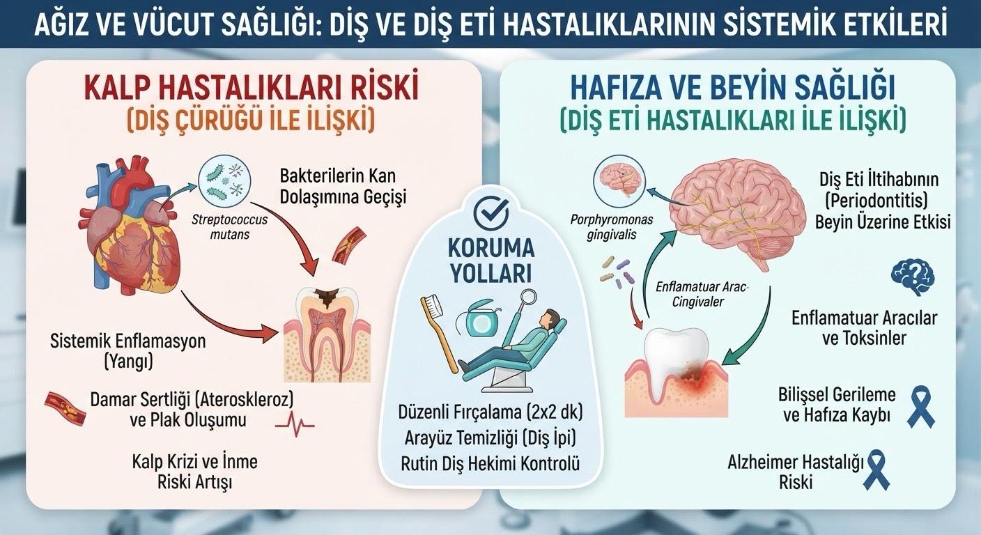 A��z ve V�cut Sa�l���: Di� ��r��� ve Di� Eti Hastal�klar�