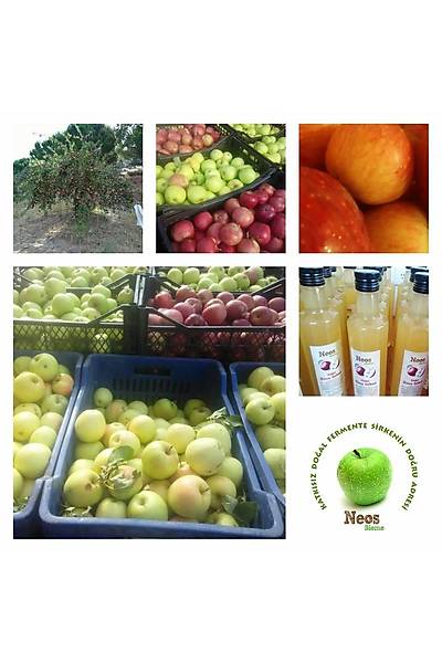 Doal Elma Sirkesi 500 ml.