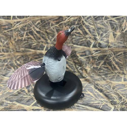 Bozkurt Av Suda Y�zen Motorlu Elmaba� Erkek �rdek M�hresi (Ak�l�)