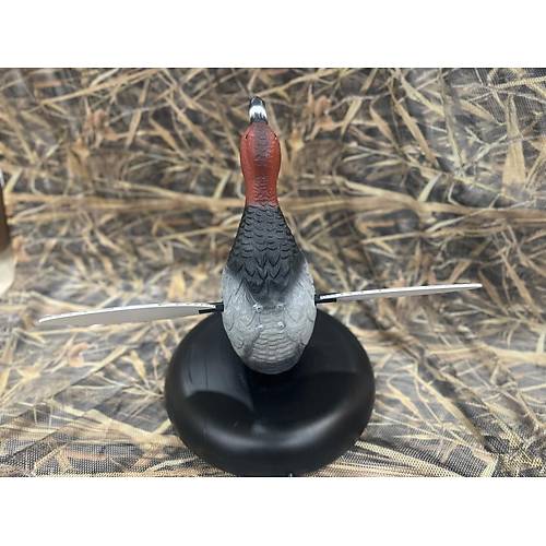 Bozkurt Av Suda Y�zen Motorlu Elmaba� Erkek �rdek M�hresi (Ak�l�)