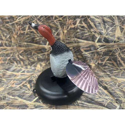 Bozkurt Av Suda Y�zen Motorlu Elmaba� Erkek �rdek M�hresi (Ak�l�)