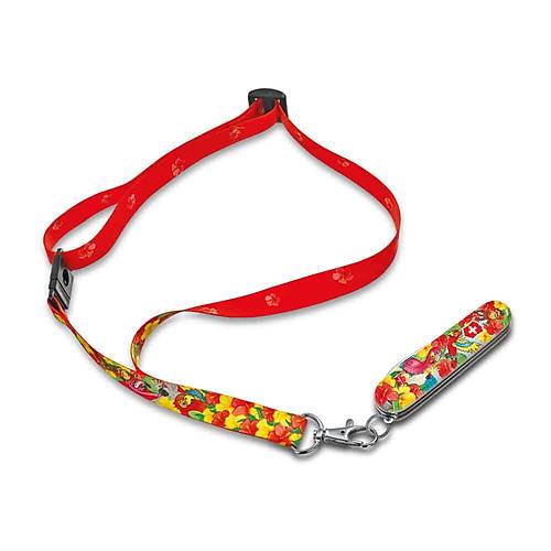 Victorinox 0.2373.E3 My first Victorinox Papaan Desenli ak (Boyama Kitab)