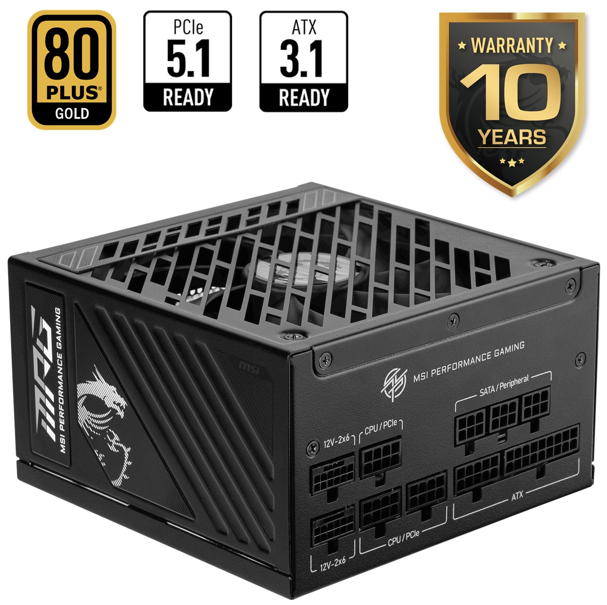 MSI MPG A1250GS PCIE5 1250W 80+ GOLD ATX 3.1 PCIE 5.1 2X 12V-2X6 POWER SUPPLY