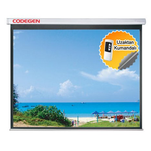 CODEGEN EX-24 240X200 MOTORLU UZAKTAN KUMANDALI