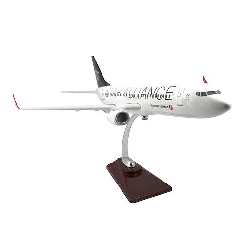 THY Boeing 737 800 1/100 Star Alliance