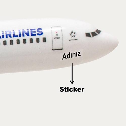 THY Airbus Troy  320 1/100