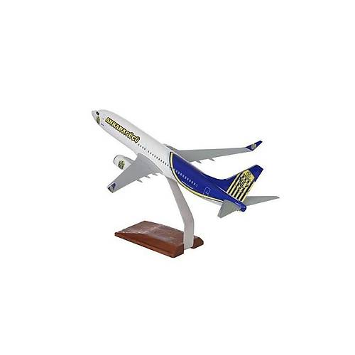 Ankaragc Boeing 737 800 1/100