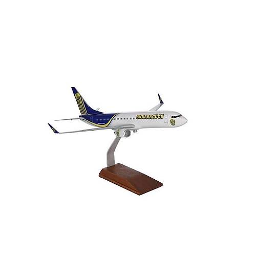 Ankaragc Boeing 737 800 1/100
