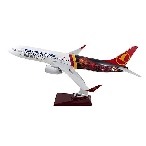 THY Galatasaray Boeing 737 - 800 1/100