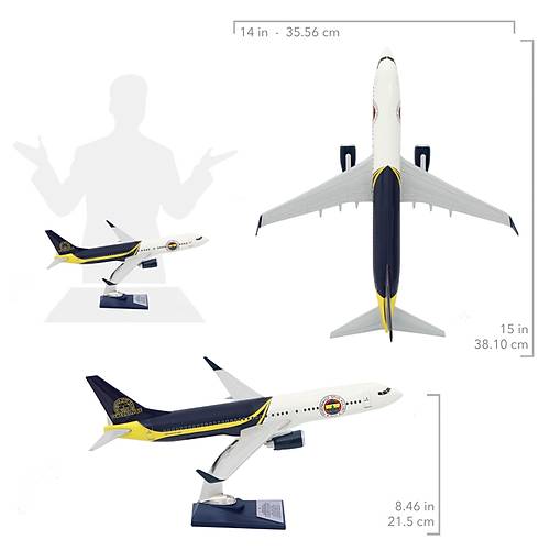 Boeing 737-800 1/100 �l�ek Fenerbah�e Lisansl� Tasar�m Maket U�ak